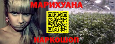 spice Кулебаки