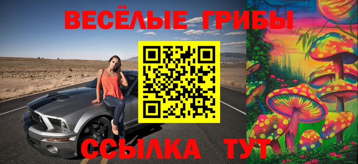 Галлюциногенные грибы Magic Shrooms Городец