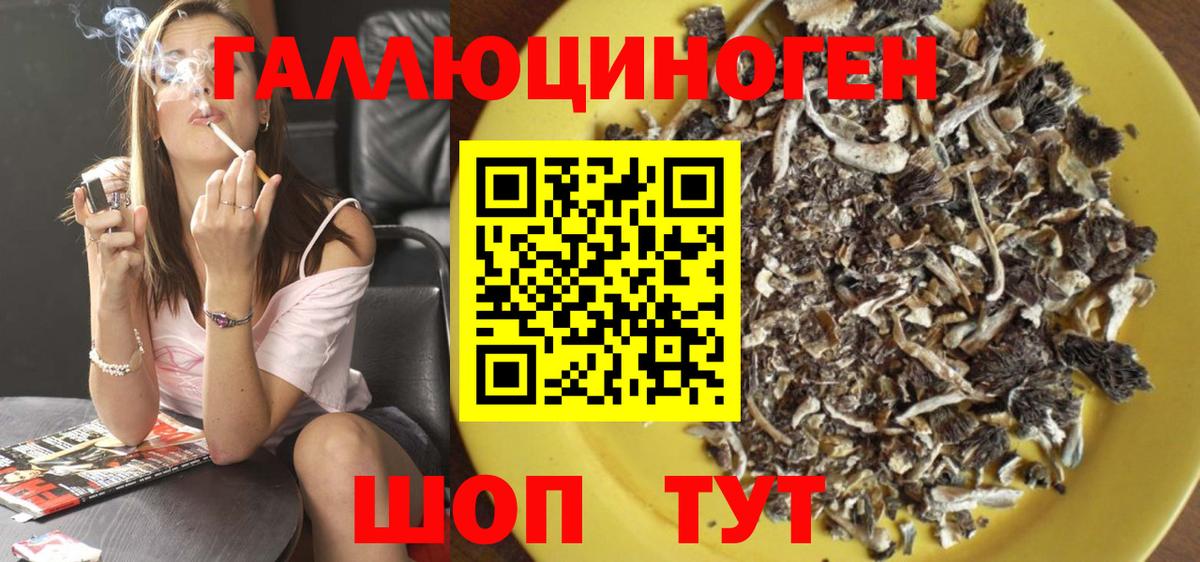 хочу   Вход с VPN  Городец  Псилоцибиновые грибы Cubensis  Псилоцибиновые грибы ЛСД 